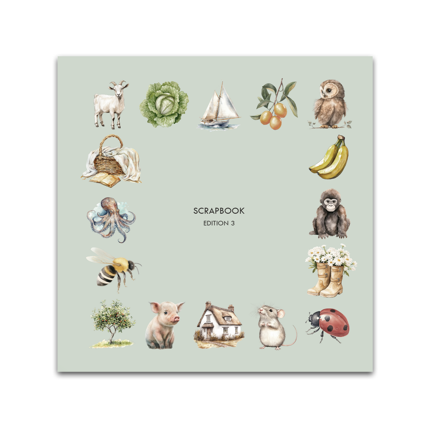 Edition 3 - Scrapbook NEW!
