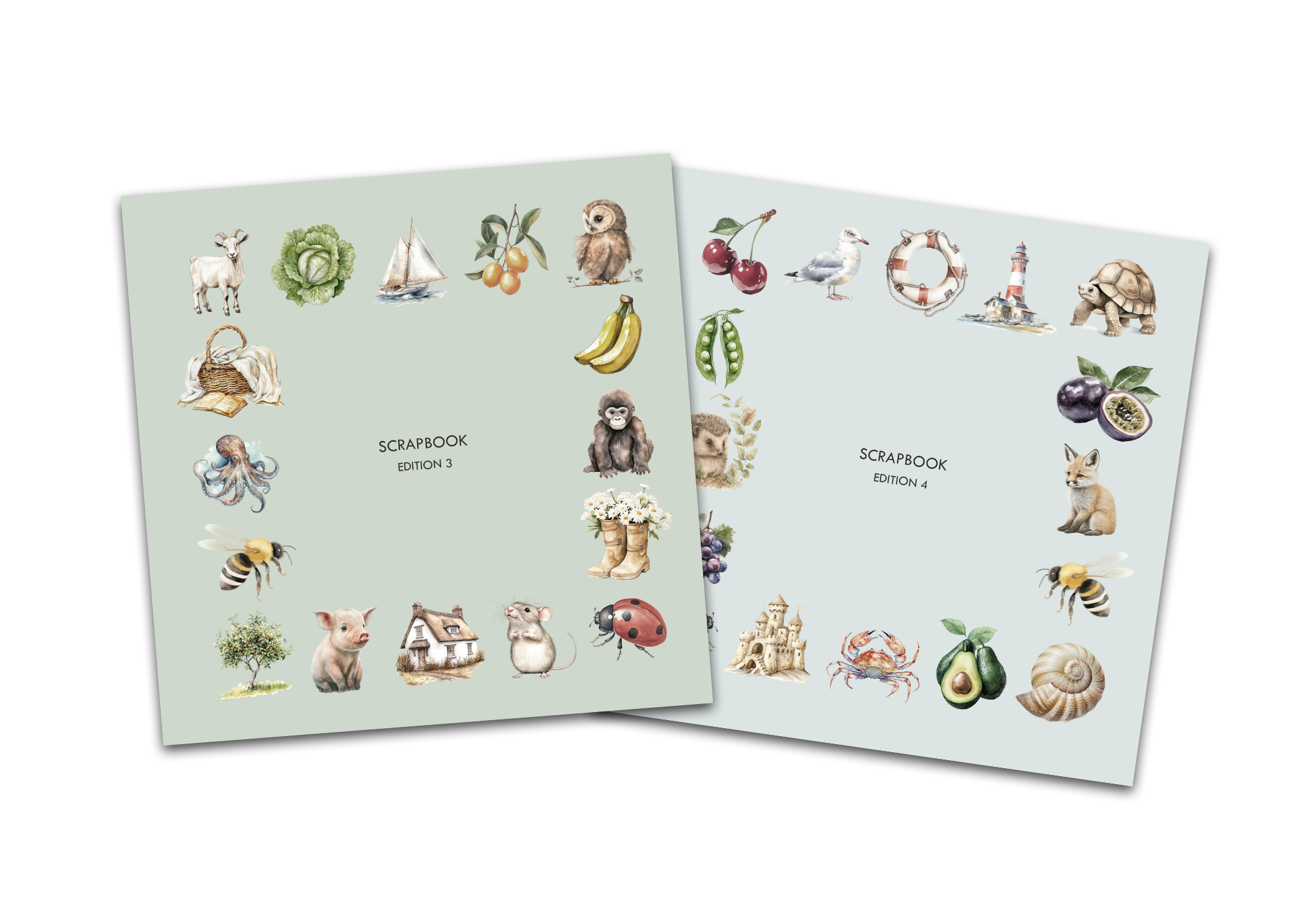 BUNDLE Editions 3 & 4 NEW! Humbolt Road