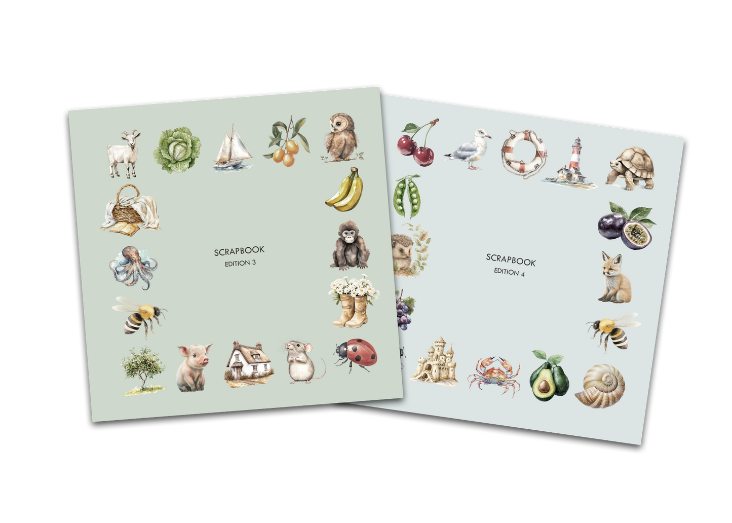 BUNDLE Editions 3 & 4 NEW!